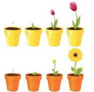 Burgeon  - (Begin to grow or increase rapidly)