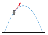 Trajectory - (the curve described by a projectile, rocket, or the like in its flight)
