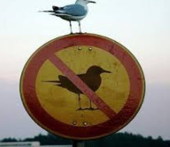 Transgress - (To pass over or go beyond (a limit, boundary, etc.); to violate a law, command, moral code, etc.; offend; sin.)