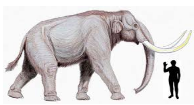Mammoth - (Immensely large; huge; enormous)