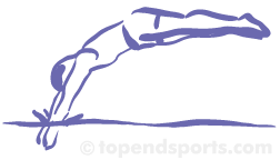 Plunge - (Jump or dive quickly and energetically)