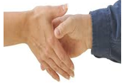 Acquiesced - (To agree or express agreement)