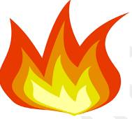 Incinerate  - (Destroy (something, especially waste material) by burning.)
