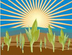 Arable  - ((Of land) used or suitable for growing crops/adequate for cultivating)