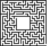 Maze  - A complex network of paths or passages./ a network of paths and hedges designed as a puzzle through which one has to find a way.