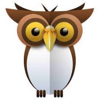 Naively  - (In a way that shows a lack of experience, wisdom, or judgment.)