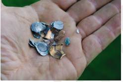 Frangible  - Able to be broken into fragments/not strong or sturdy.