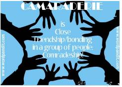 Camaraderie  - (Mutual trust and friendship among people who spend a lot of time together.)