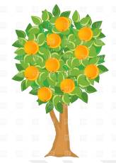 Prolific  - (Producing much fruit or foliage or many offspring.)