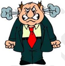 Incensed  - (Displaying or feeling strong anger)