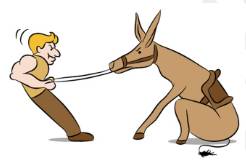 Obdurate  - Used to describe a person who refuses to change their mind, or someone or something that is difficult to deal with or change:
