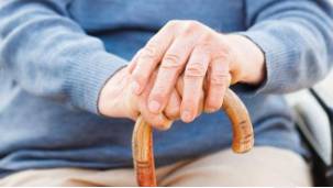Frailty  - The condition of being weak and delicate.