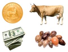 Valorise  - To decide the value of goods, resources, etc.