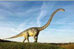 Humongous  - Very large.