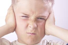Defiance  - Behavior in which you refuse to obey someone or something.