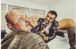 Provocative  - Causing anger or another strong reaction, especially deliberately