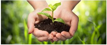 Stewardship  - The management or supervision of something.