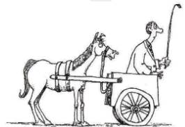 Putting the cart before the horse  - To do things out of the proper order.