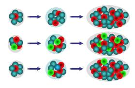 Proliferate  - To increase a lot and suddenly in number: