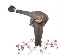 Culminate  - To come to a significant point such as the end of an event.