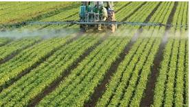 Arable  - Used or suitable for growing crops.