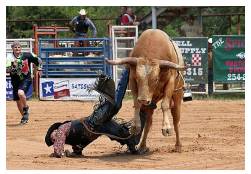 Bite the dust  - To die or be killed or fail.