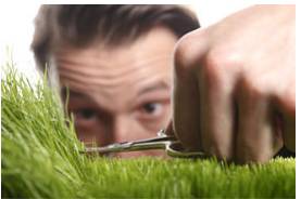 Meticulous  - Showing great attention to detail; very careful and precise.
