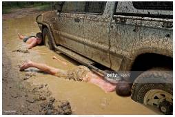 Extricate  - To remove or set something free from difficulty.