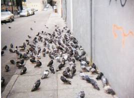 Umpteen  - Indefinitely many; a lot of.