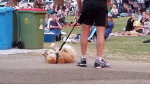 Balk at - To be hesitant about doing something or to refuse to do it.