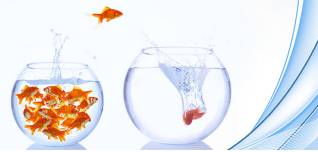 Endeavour  - Try hard to do or achieve something.