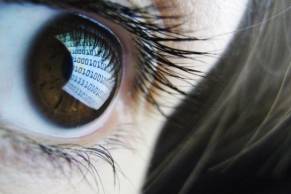 Discernible  - Able to be seen, recognized, or understood: