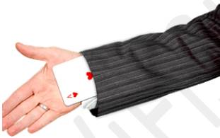 Ruse  - A trick intended to deceive someone.