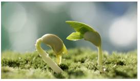 Inception  - The establishment or starting point of an institution or activity.
