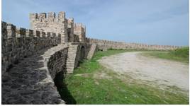 Rampart  - A defensive wall of a castle or walled city, having a broad top with a walkway and typically a stone parapet.