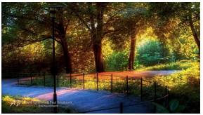 Enchantment - A feeling of great pleasure and delight.