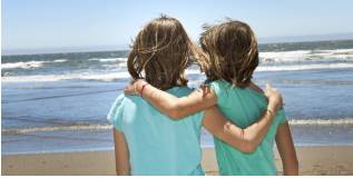 Ally  - Someone who is ready to help you; a friend.
