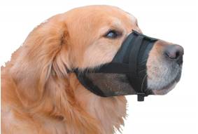 Muzzle  - Prevent (a person or group) from expressing their opinions freely.