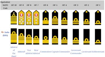 Echelon  - A level or rank in an organization, a profession, or society.