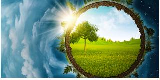 Prophetic  - Accurately predicting what will happen in the future.
