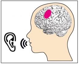 Articulation  - The formation of clear and distinct sounds in speech.