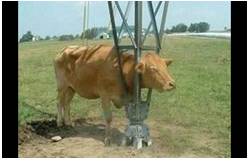 Predicaments  - An unpleasant situation that is difficult to get out of.