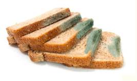 Stale  - No longer new or fresh, usually as a result of being kept for too long: