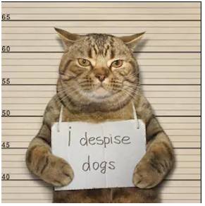 Despise  - To dislike strongly.