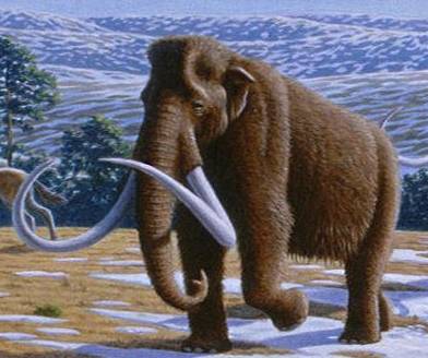 Immense - extremely large or great, especially in scale or degree.