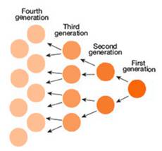 Proliferation  - Rapid increase in numbers.