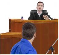 Litigant  - A person who is involved in a civil legal case.
