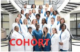Cohort  - A company of companions or supporters.