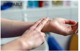 Palpable  - Able to be touched or felt.