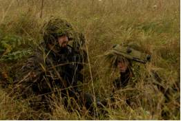 Ambush  - Meaning: make a surprise attack on (someone) from a concealed position.